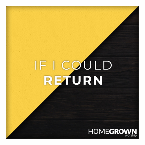 If I Could Return