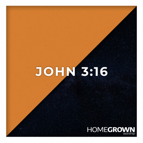 John 3:16 John 3:16