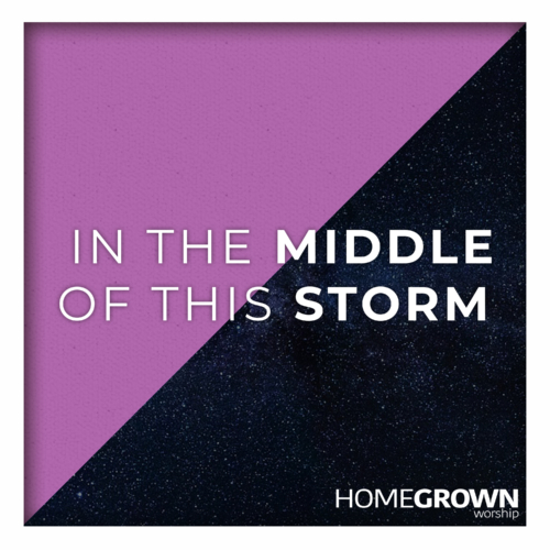 In The Middle Of This Storm In The Middle Of This Storm