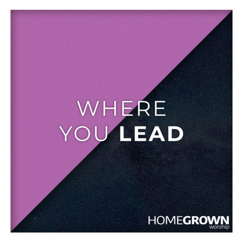 Where You Lead Where You Lead