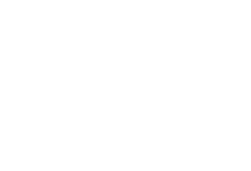 ICONS_cassette_white (1)