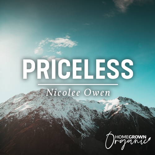Priceless Priceless
