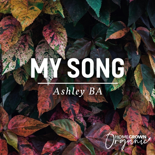 My Song My Song