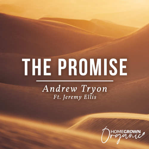 The Promise The Promise