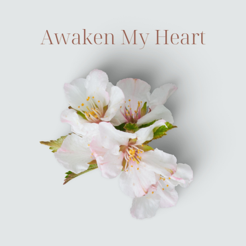 Awaken My Heart Awaken My Heart